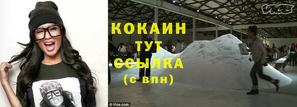 прущие грибы Арсеньев