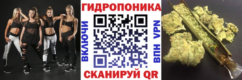 Марихуана план  Купить  Павловская 